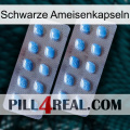 Black Ant Capsules viagra4